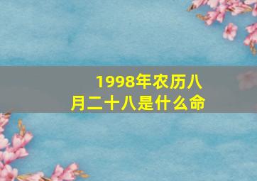 1998年农历八月二十八是什么命