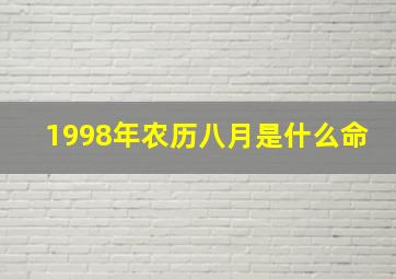 1998年农历八月是什么命