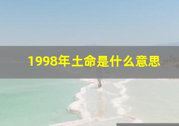 1998年土命是什么意思