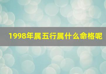 1998年属五行属什么命格呢