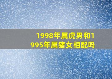 1998年属虎男和1995年属猪女相配吗