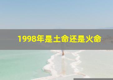 1998年是土命还是火命