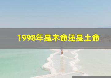 1998年是木命还是土命