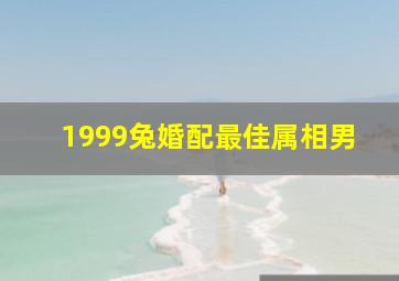 1999兔婚配最佳属相男