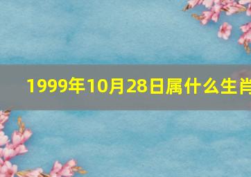 1999年10月28日属什么生肖