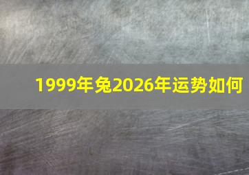 1999年兔2026年运势如何