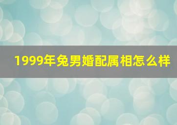 1999年兔男婚配属相怎么样