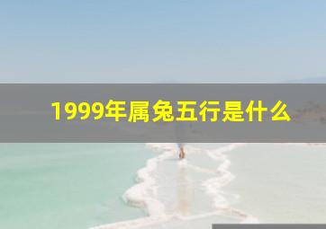 1999年属兔五行是什么