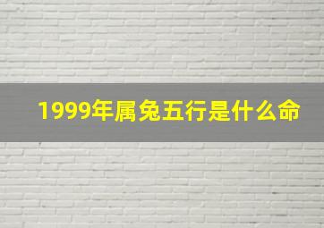 1999年属兔五行是什么命