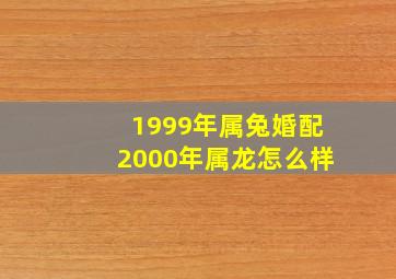 1999年属兔婚配2000年属龙怎么样