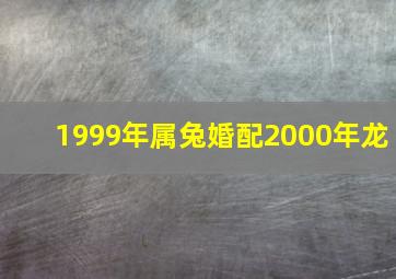 1999年属兔婚配2000年龙