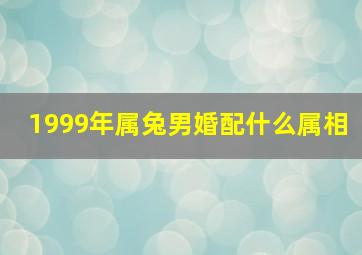 1999年属兔男婚配什么属相