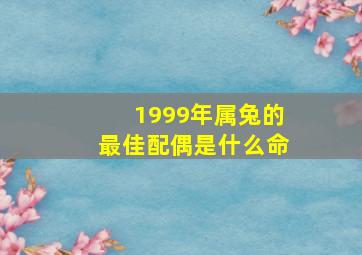 1999年属兔的最佳配偶是什么命