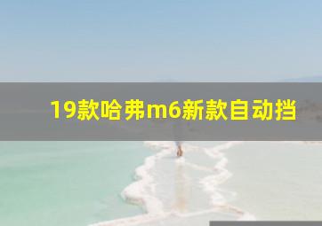 19款哈弗m6新款自动挡