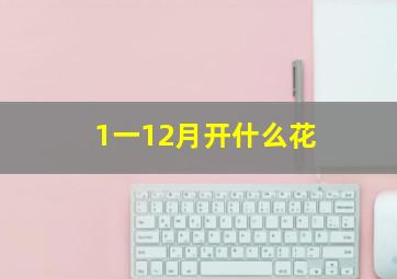 1一12月开什么花