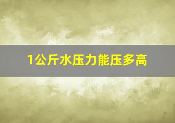 1公斤水压力能压多高