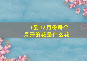 1到12月份每个月开的花是什么花