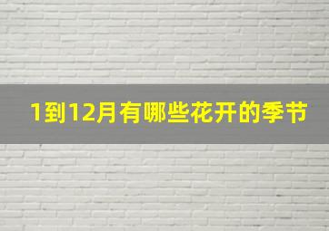 1到12月有哪些花开的季节