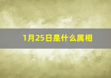 1月25日是什么属相