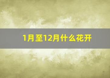 1月至12月什么花开