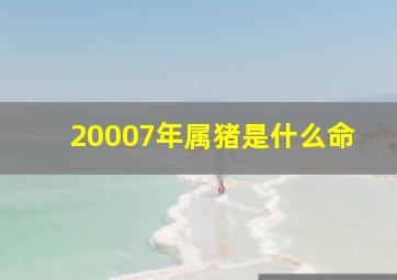 20007年属猪是什么命