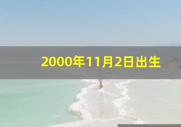 2000年11月2日出生