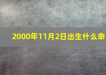 2000年11月2日出生什么命