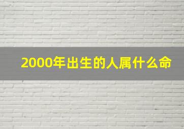 2000年出生的人属什么命