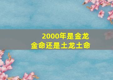 2000年是金龙金命还是土龙土命