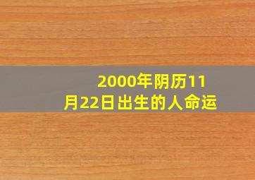 2000年阴历11月22日出生的人命运