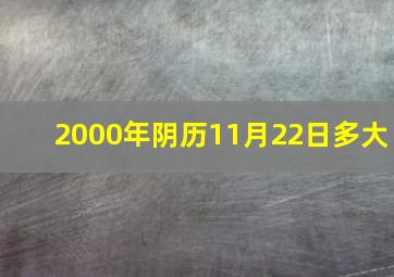 2000年阴历11月22日多大