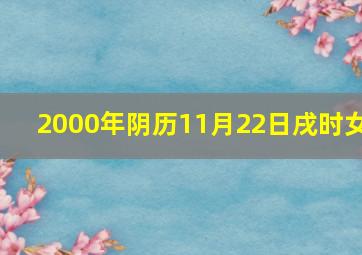 2000年阴历11月22日戌时女