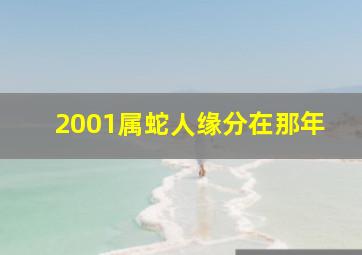 2001属蛇人缘分在那年