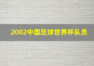 2002中国足球世界杯队员