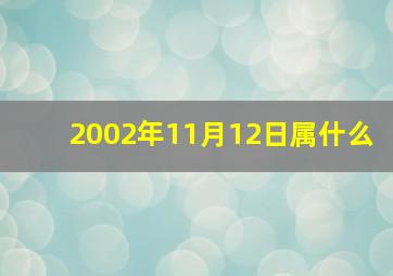 2002年11月12日属什么