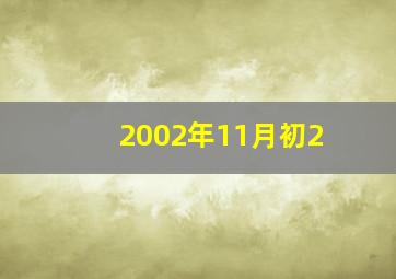 2002年11月初2