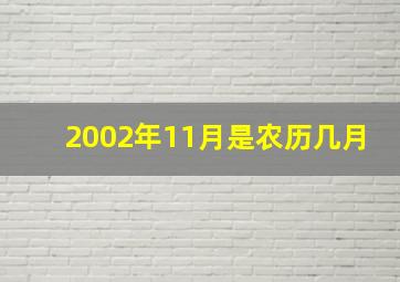 2002年11月是农历几月