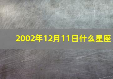 2002年12月11日什么星座