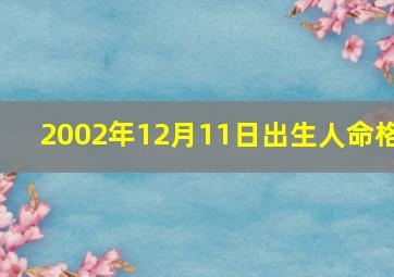 2002年12月11日出生人命格