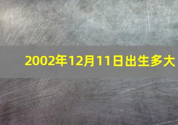 2002年12月11日出生多大