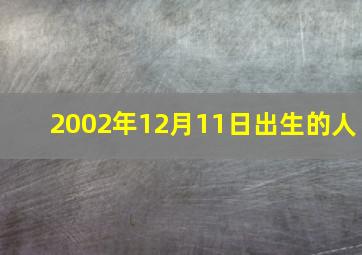 2002年12月11日出生的人