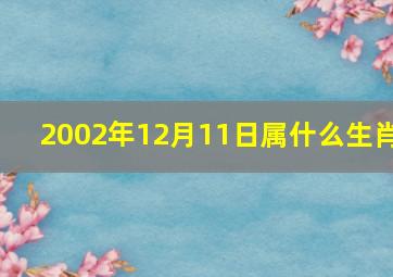 2002年12月11日属什么生肖