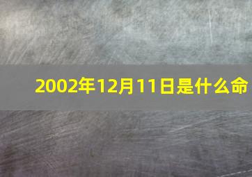 2002年12月11日是什么命