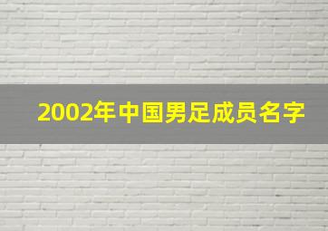 2002年中国男足成员名字