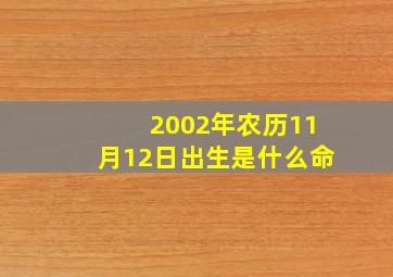 2002年农历11月12日出生是什么命