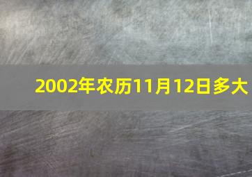 2002年农历11月12日多大