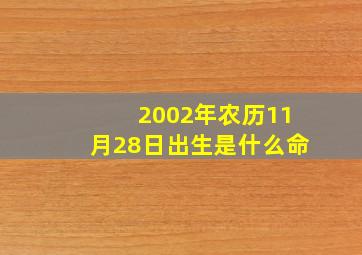 2002年农历11月28日出生是什么命