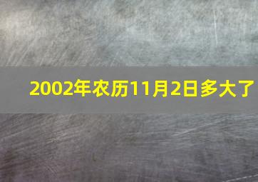 2002年农历11月2日多大了