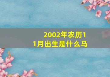 2002年农历11月出生是什么马