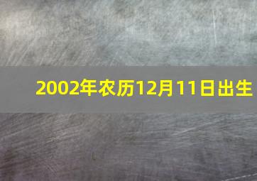 2002年农历12月11日出生